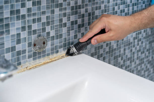 Office Mold Removal Services in Acworth, GA