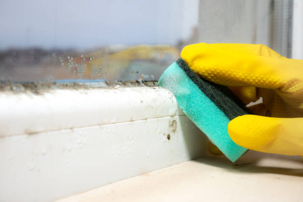 Best Mold Testing  in Acworth, GA